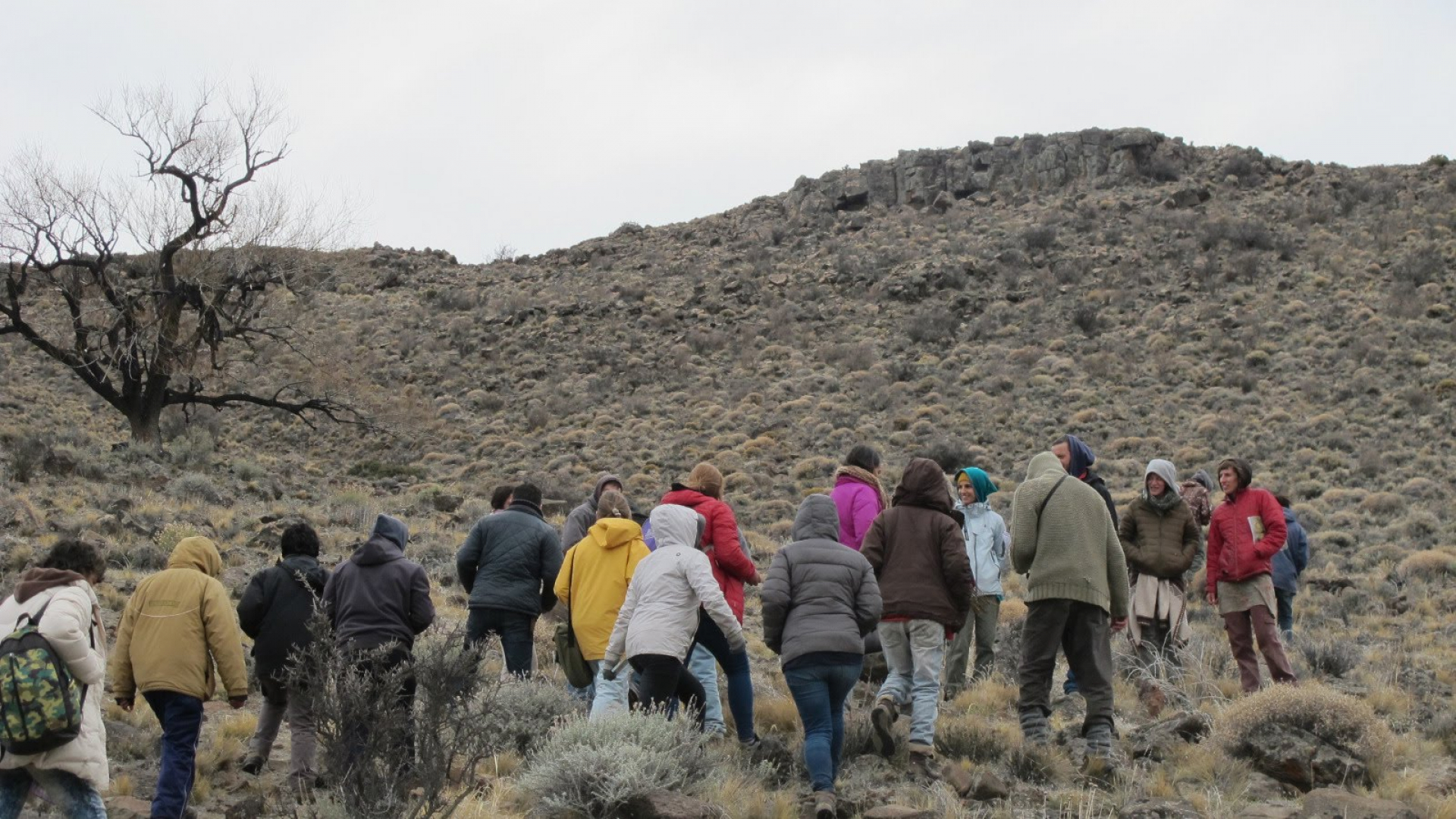 Se creó la Especialización en Extensión Universitaria, un nuevo posgrado interinstitucional en la Patagonia