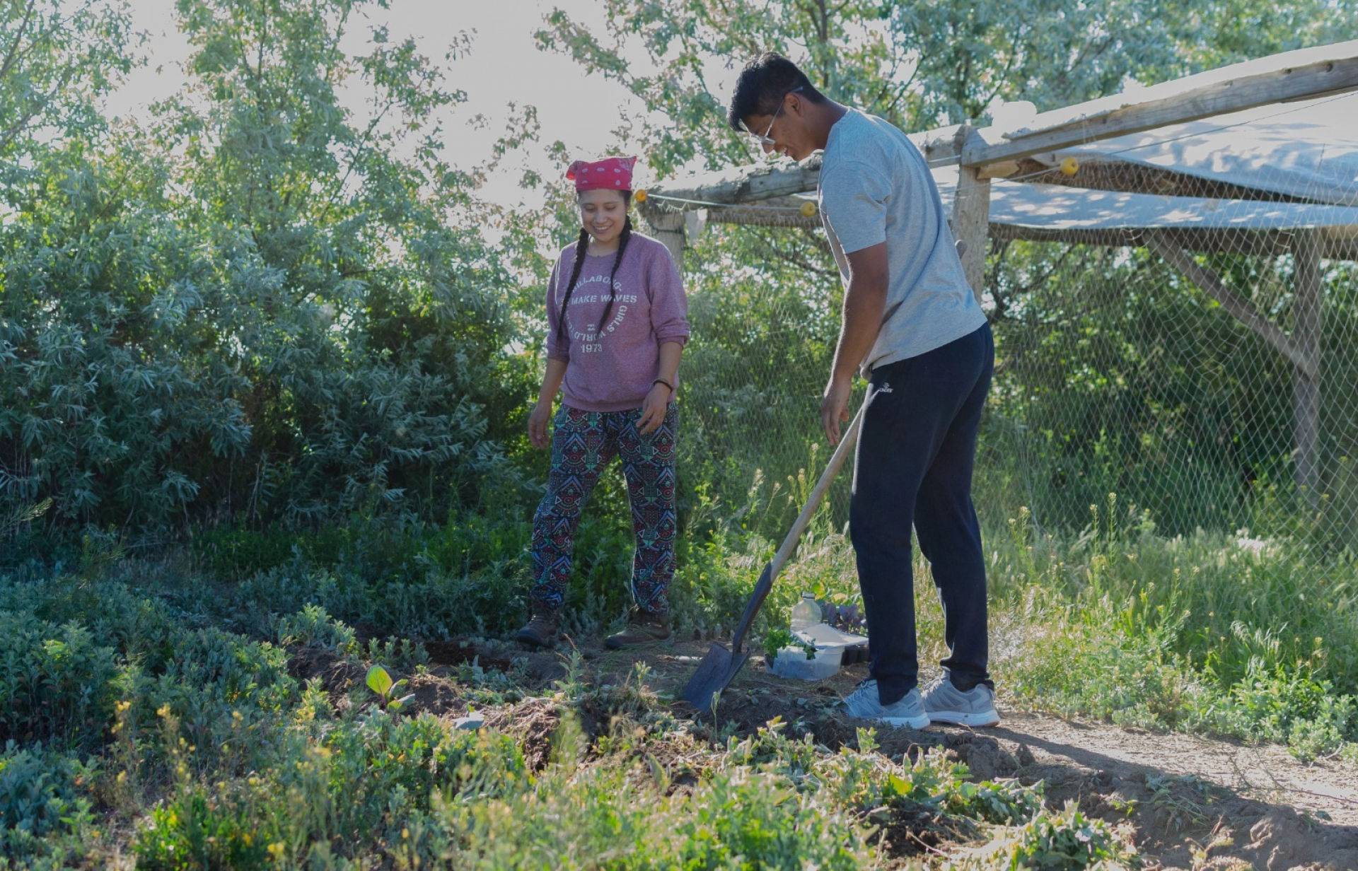 El Programa AndarESS y la cooperativa Surgente promueven la agricultura regenerativa en Jacobacci